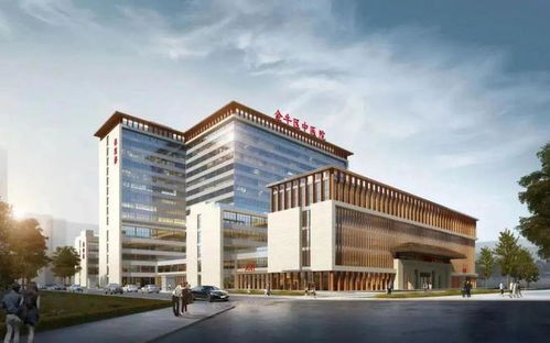 成都weekly 高新区多宗地块规划调整,含金融城一地块