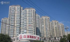 新天地购物城价格走势解析 探寻购物新天地的消费变迁